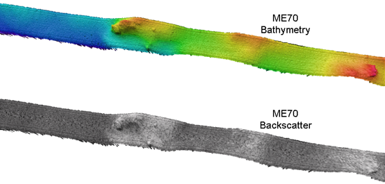 Image comparing bathymetry and backscatter.
