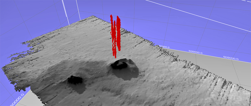 Seafloor image in greyscale with possible seep shown as red vertical lines.