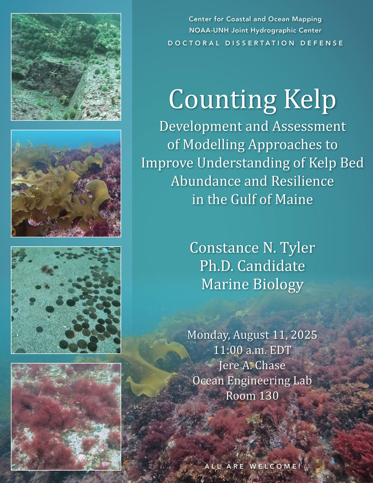 Counting Kelp: Development and Assessment of Modelling Approaches to Improve Understanding of Kelp Bed Abundance and Resilience in the Gulf of Maine