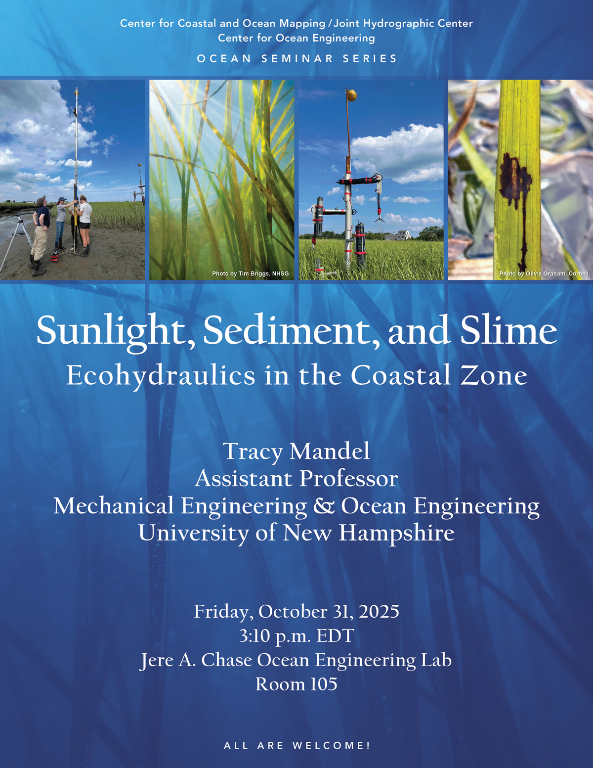 Sunlight, Sediment, and Slime: Ecohydraulics in the Coastal Zone