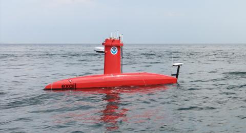 DriX in open water