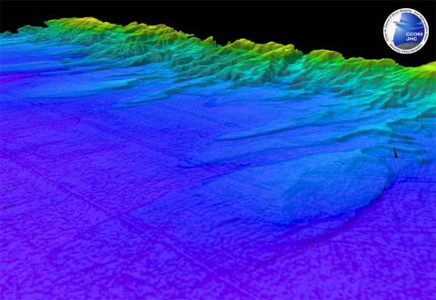Large Sediment Tounges