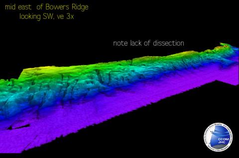 Mid-east Flank of Bowers Ridge