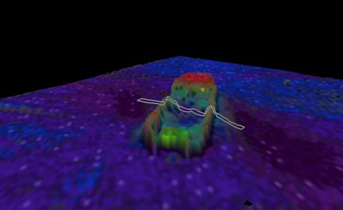 Reson 8125 survey of LCT 524, gridded at 25 cm and rendered in 3-D. Cross-section represents the region.