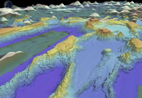 Necker Ridge Southern Guyot Spur