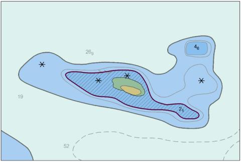 Amorphous lines showing depth areas.