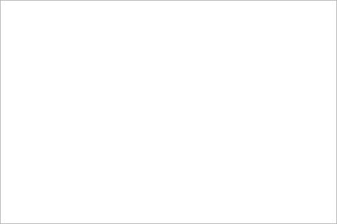 Blank placeholder